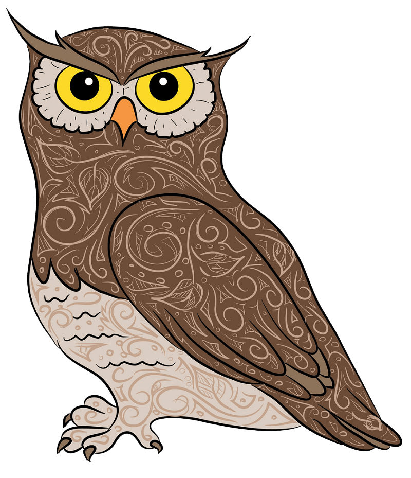 Amazing Owl clipart transparent