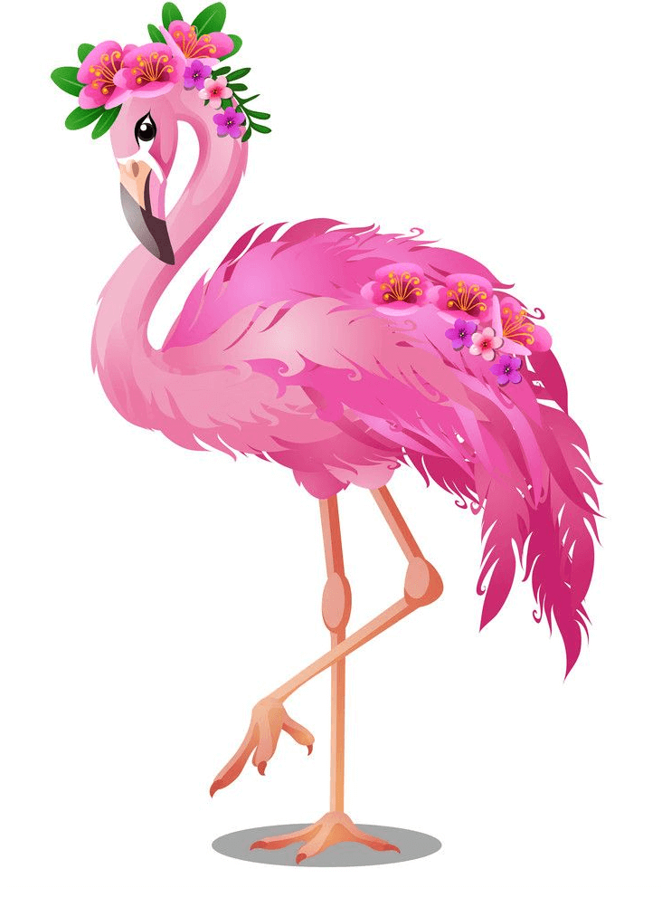Beautiful Flamingo clipart