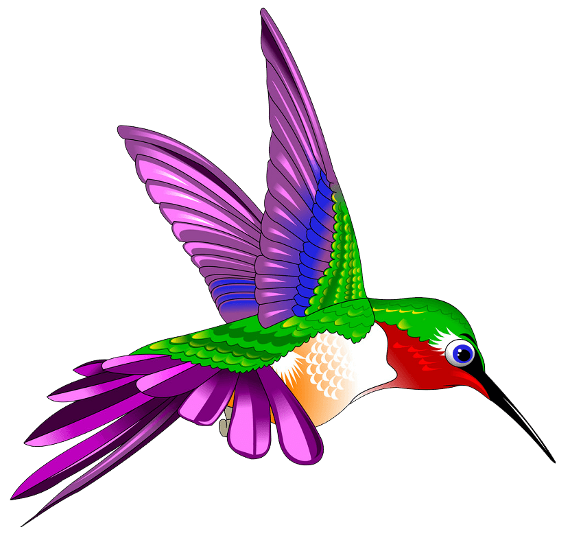 Beautiful Hummingbird clipart transparent