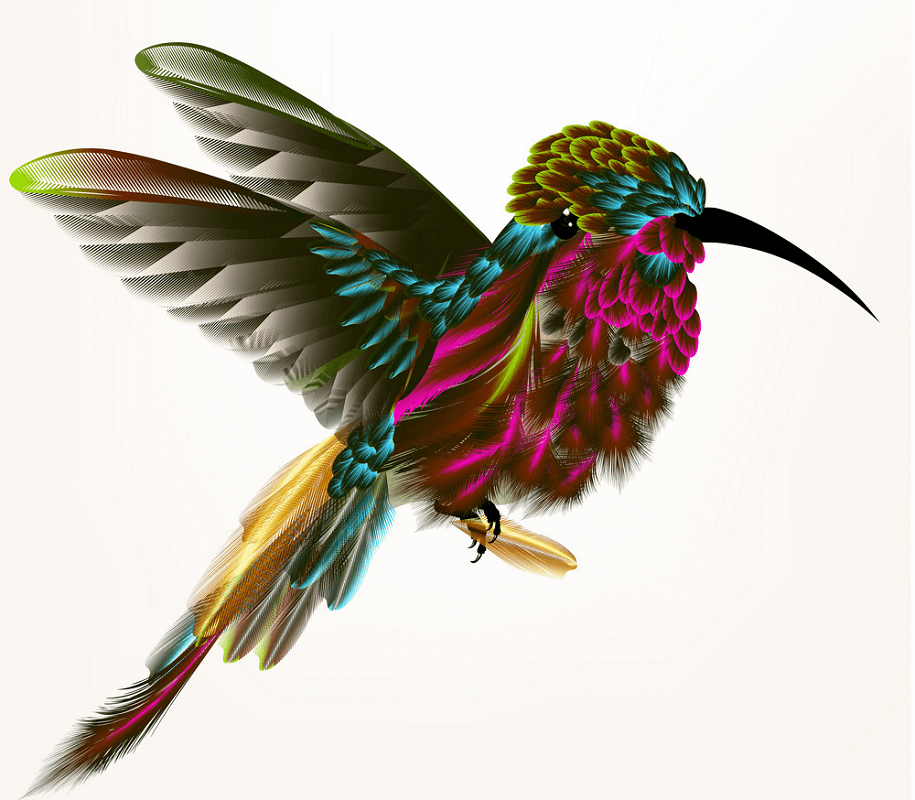 Beautiful Hummingbird clipart