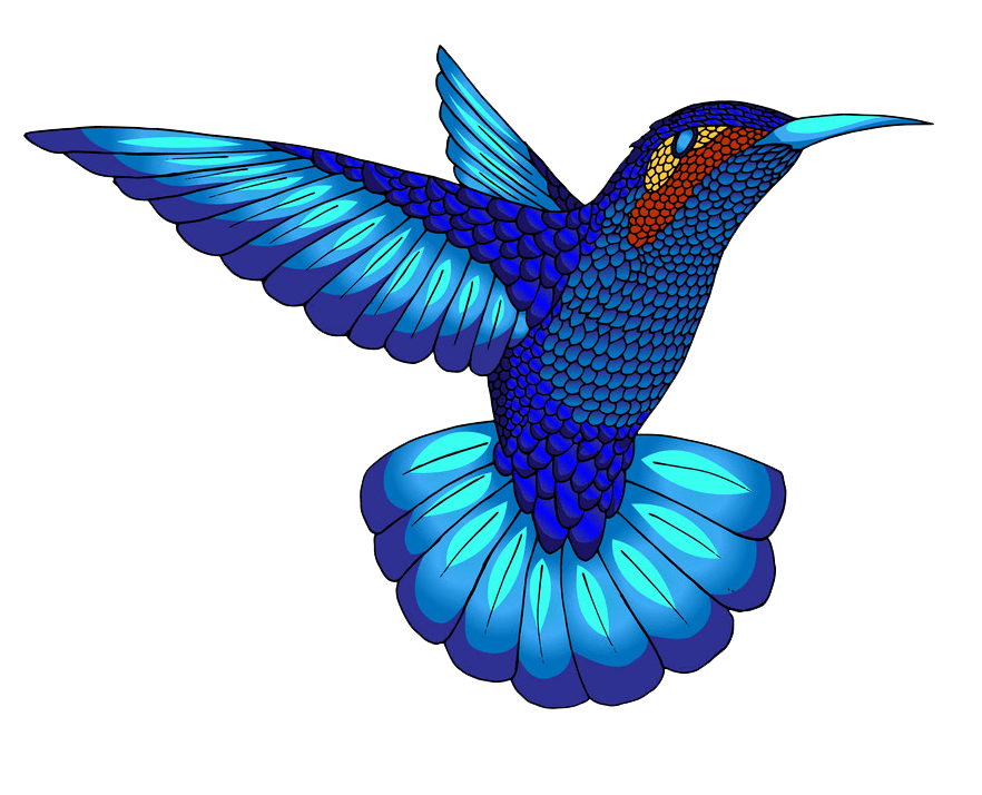 Blue Hummingbird clipart transparent