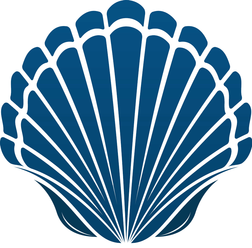 Blue seashell clipart transparent