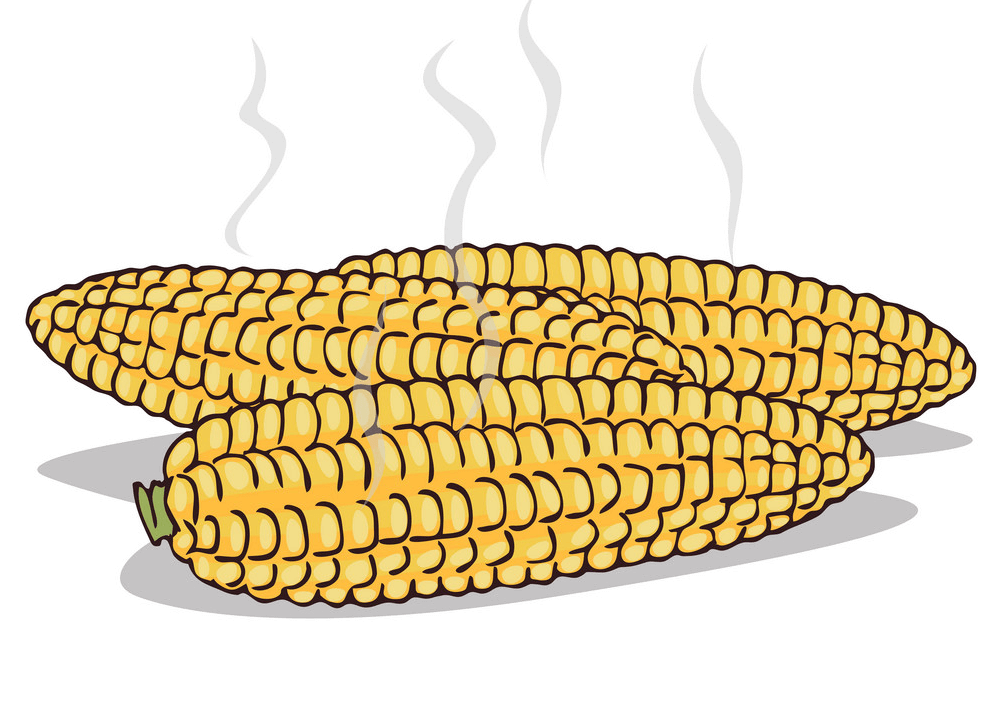 Boiled Corn clipart
