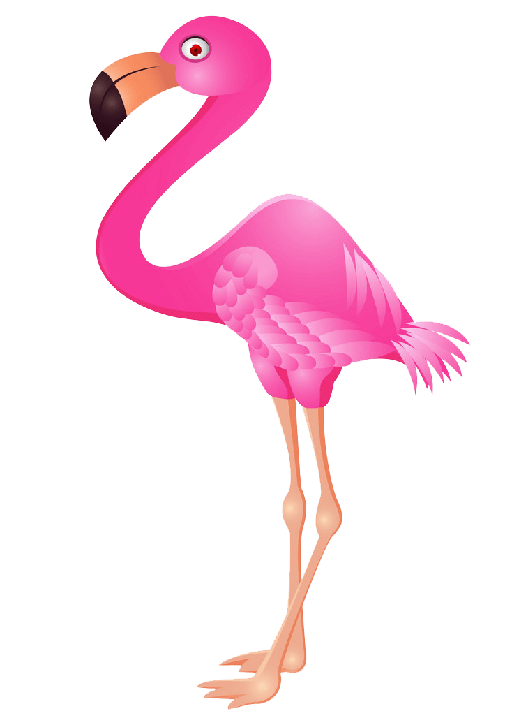 Cartoon Flamingo clipart transparent 1