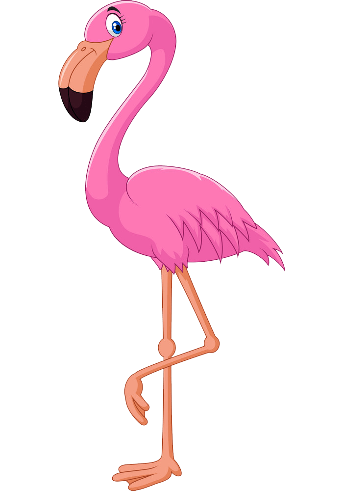 Cartoon Flamingo clipart transparent