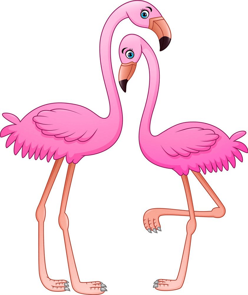 Cartoon Flamingos clipart