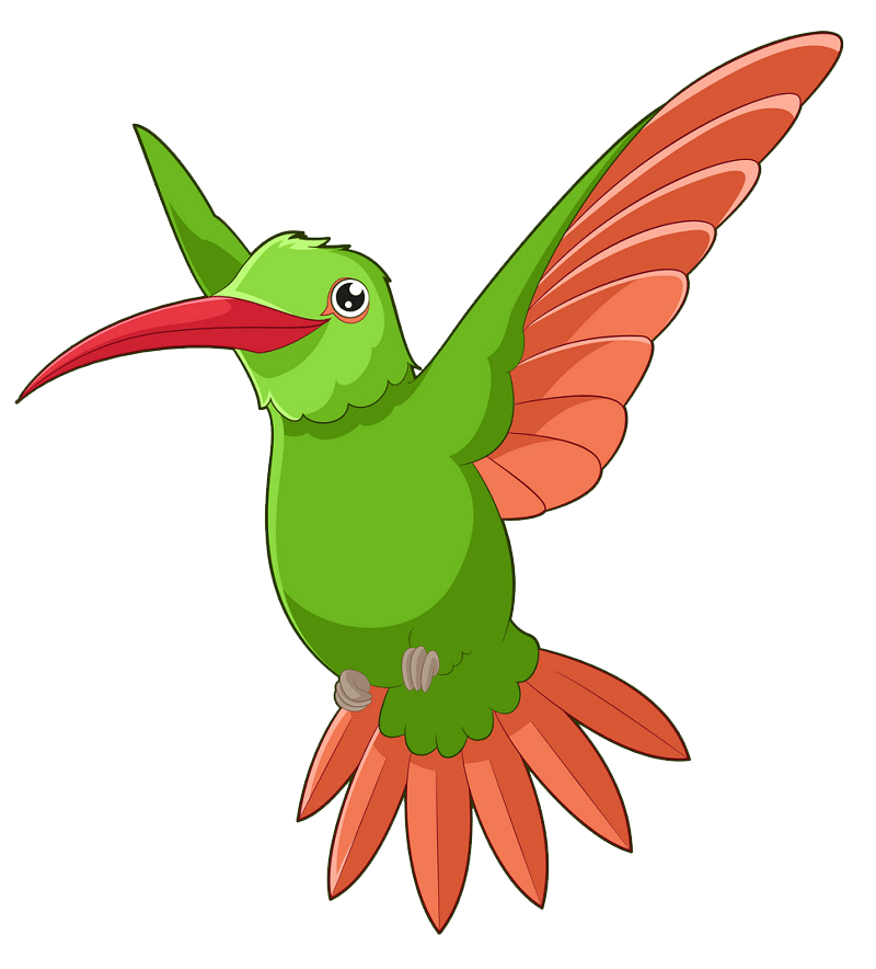 Cartoon Hummingbird clipart transparent