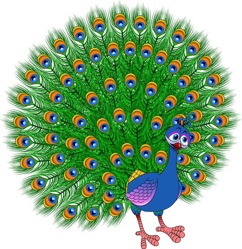 Cartoon Peacock clipart