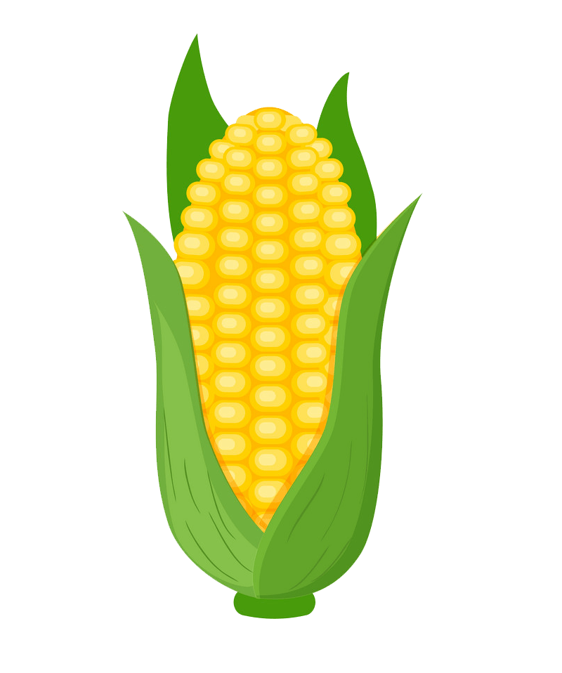 Corn clipart transparent 1