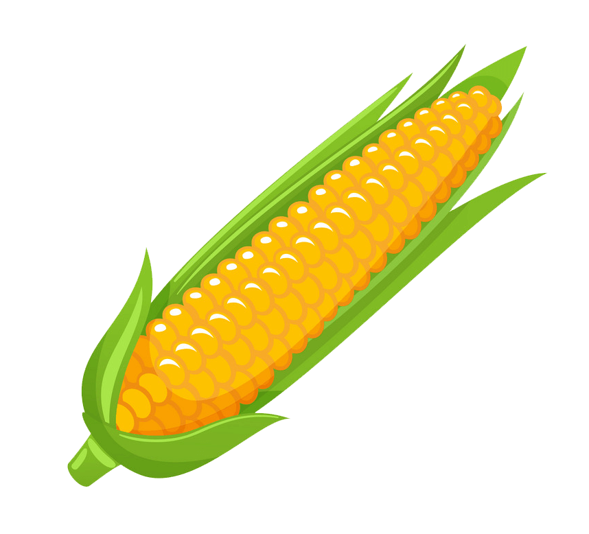 Corn clipart transparent 6