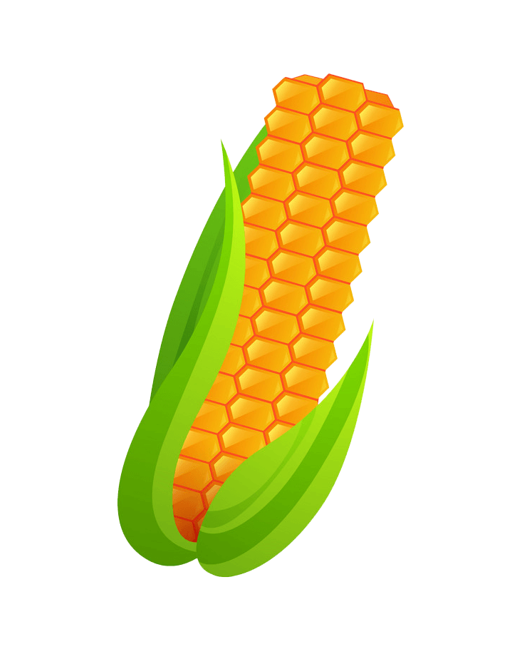 Corn clipart transparent
