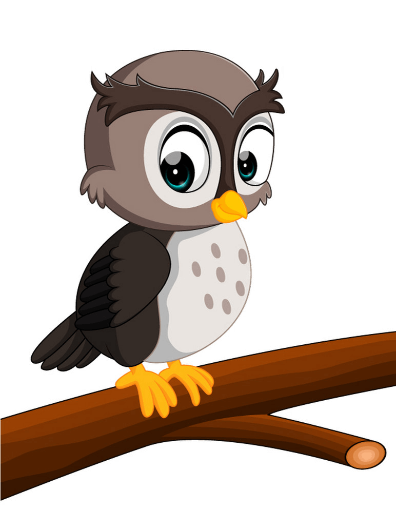 Cute Owl clipart