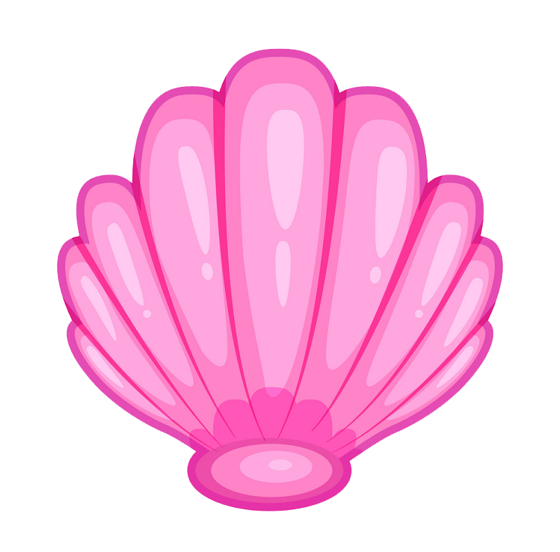 Cute seashell clipart transparent