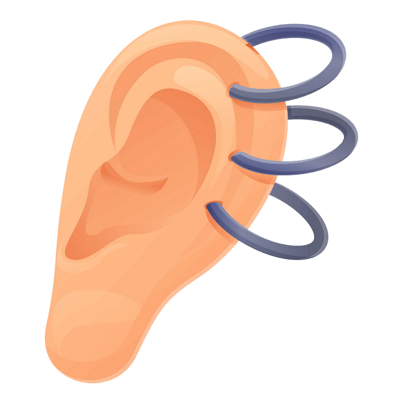 Ear Piercing clipart transparent
