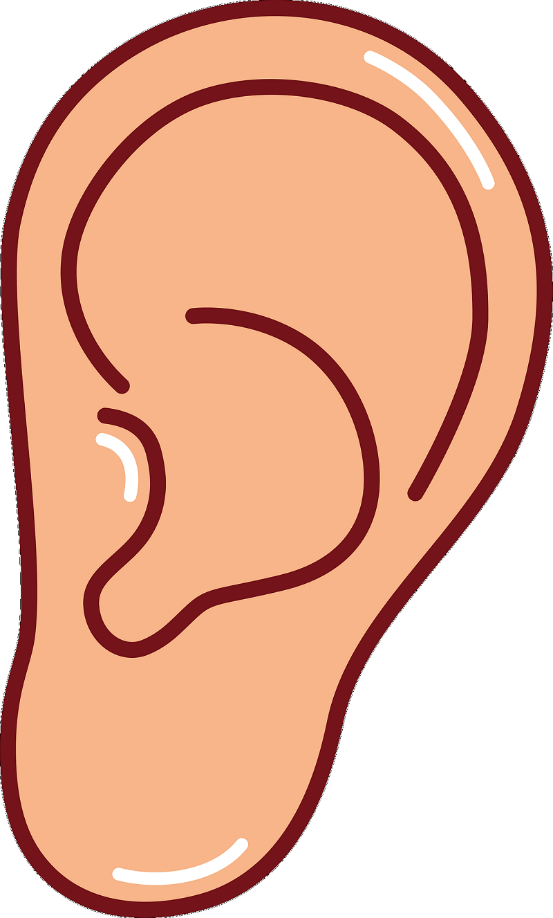 Ear clipart 2