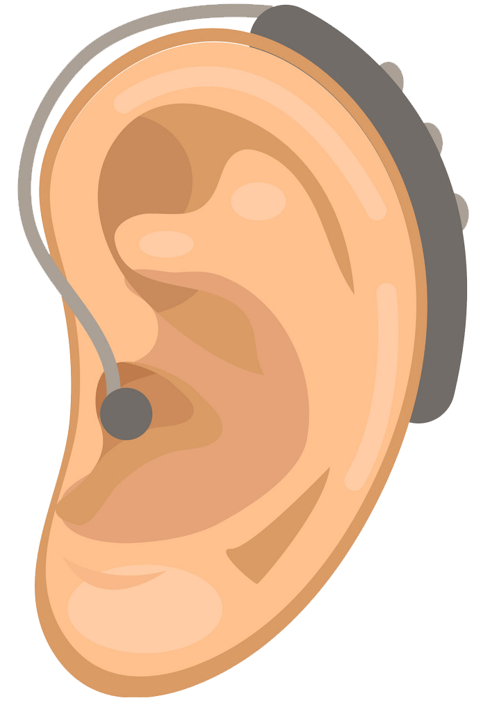 Ear clipart transparent 5