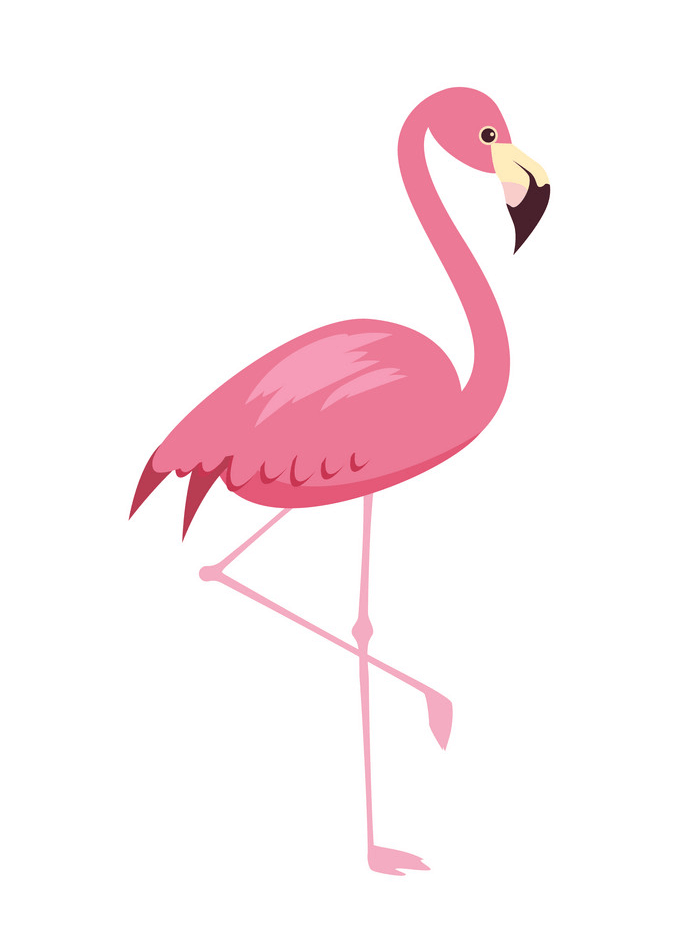 Flamingo clipart 1