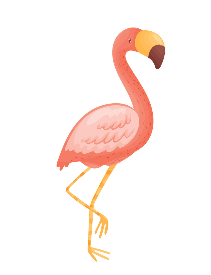 Flamingo clipart 2