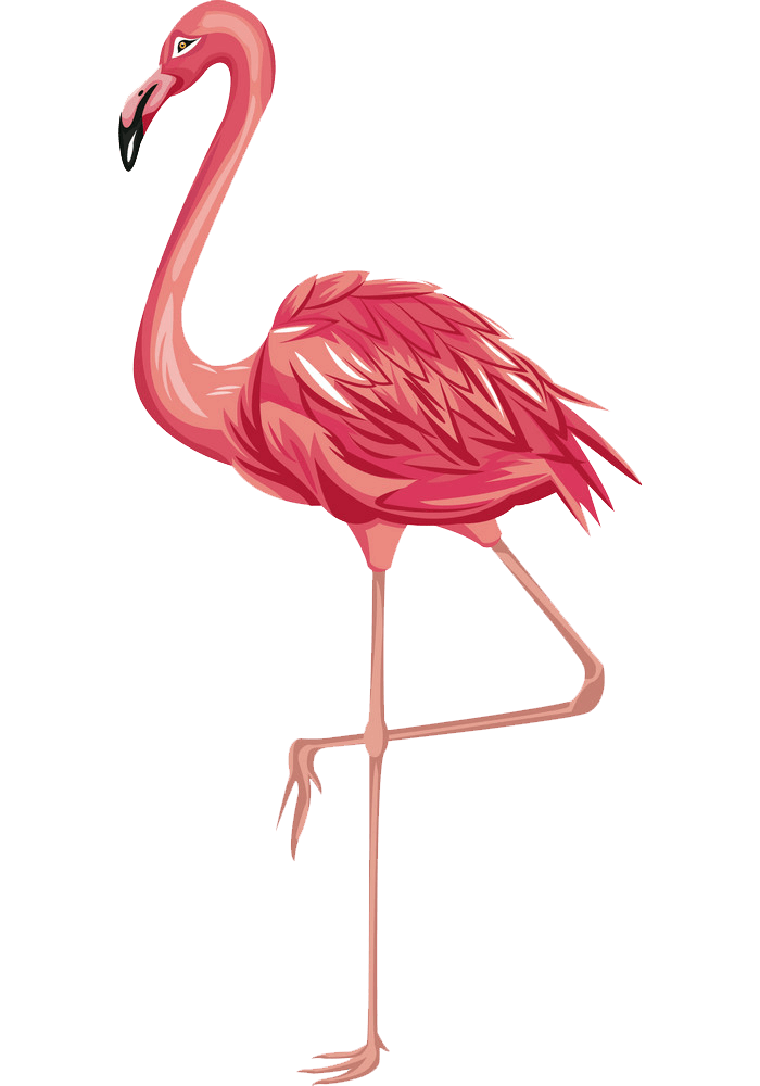 Flamingo clipart transparent 1