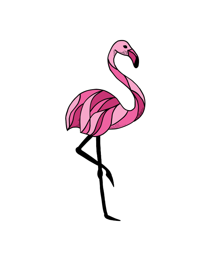 Flamingo clipart transparent 2