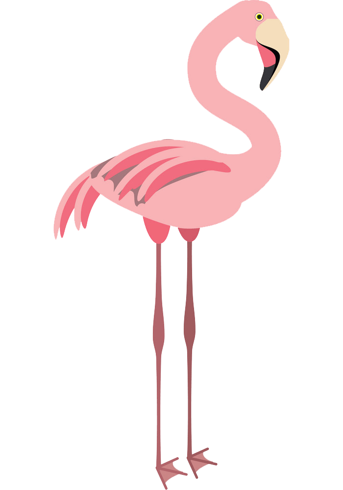 Flamingo clipart transparent 3