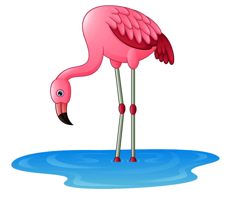 Flamingo clipart transparent 4