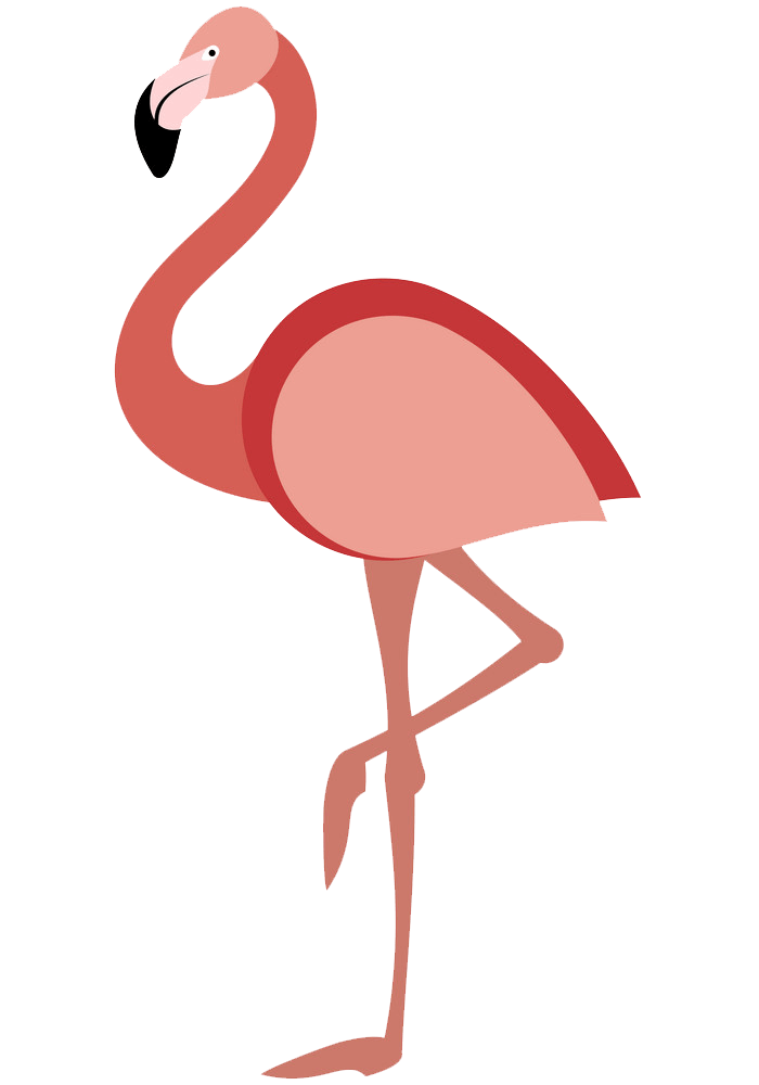 Flamingo clipart transparent