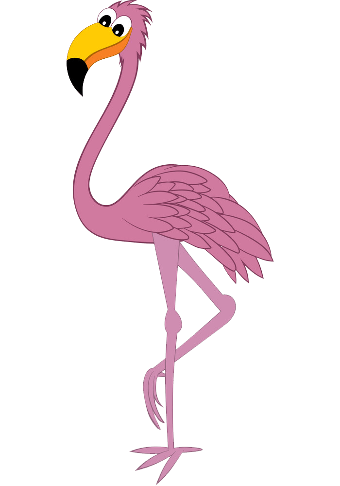 Funny Flamingo clipart transparent 1