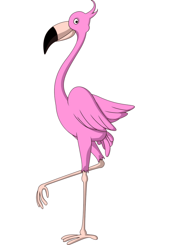 Funny Flamingo clipart transparent