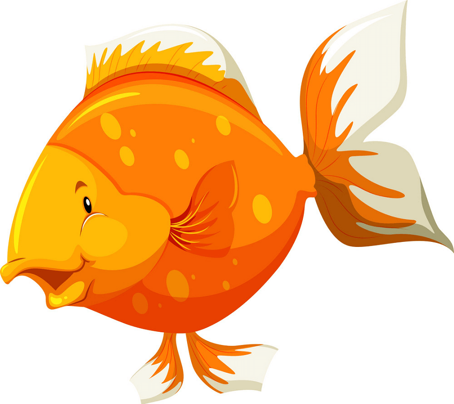 Funny Goldfish clipart