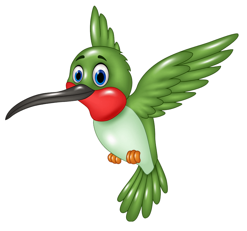 Funny Hummingbird clipart transparent