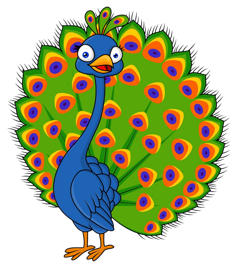 Funny Peacock clipart transparent
