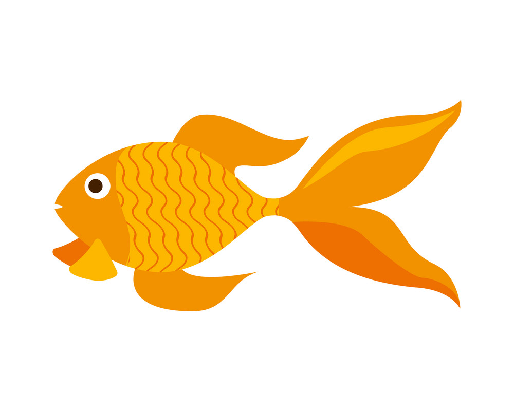 Goldfish clipart 1
