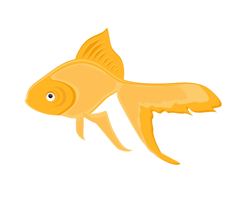 Goldfish clipart transparent 1