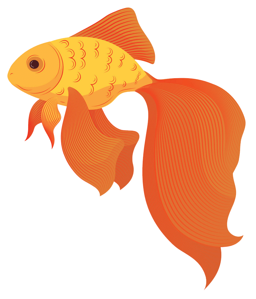 Goldfish clipart transparent 2