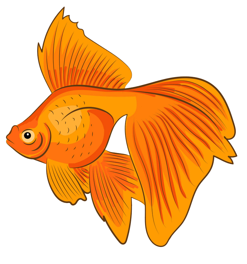 Goldfish clipart transparent