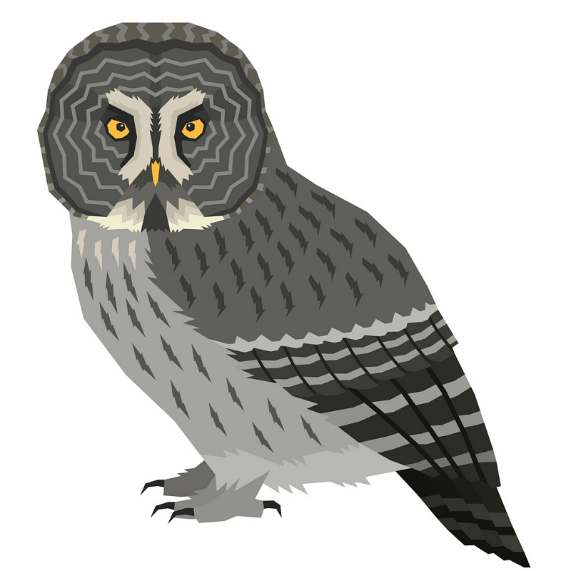 Gray Owl clipart