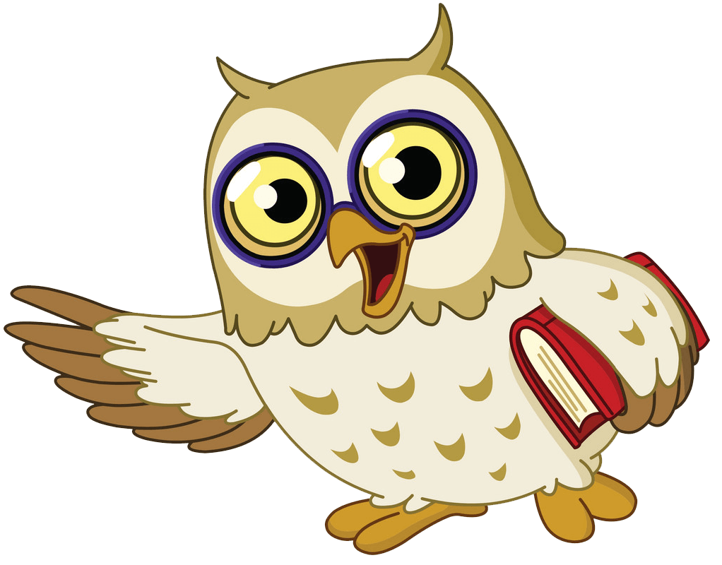 Happy Owl clipart transparent