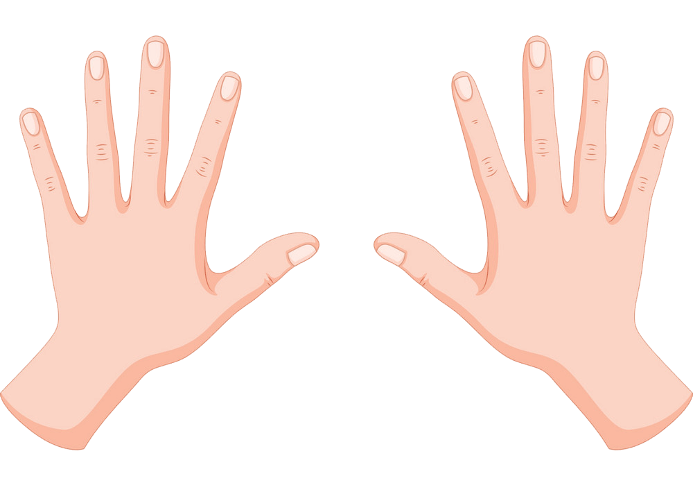 Human Hands clipart transparent