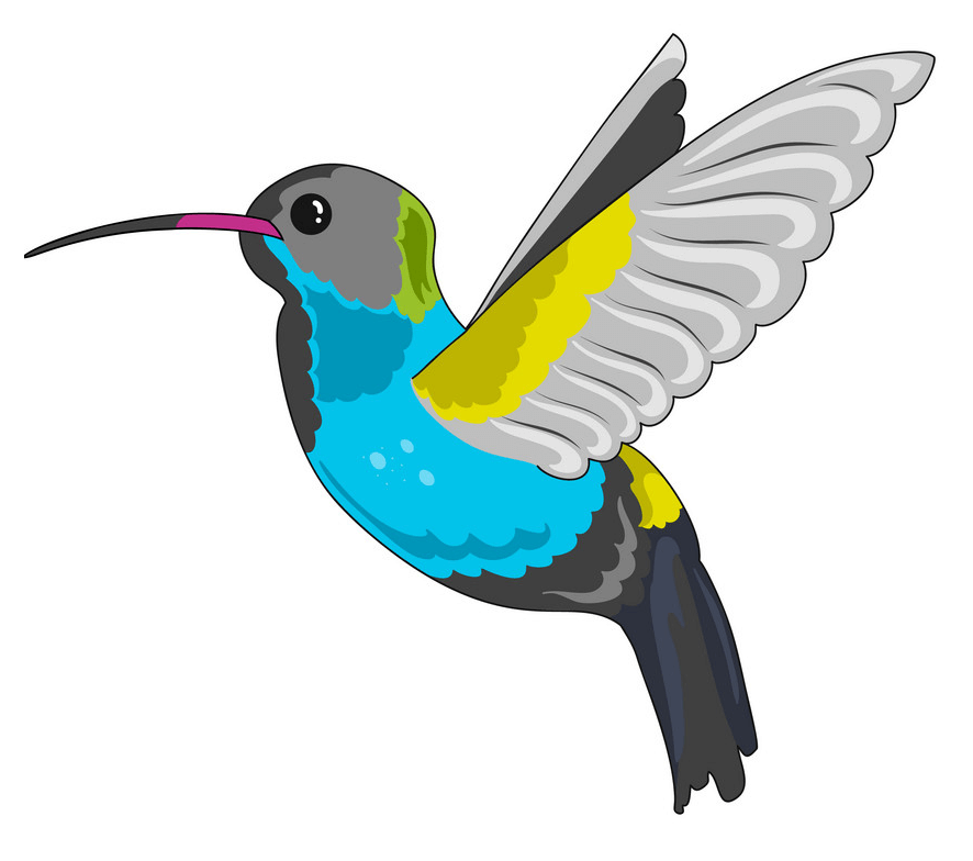 Hummingbird clipart