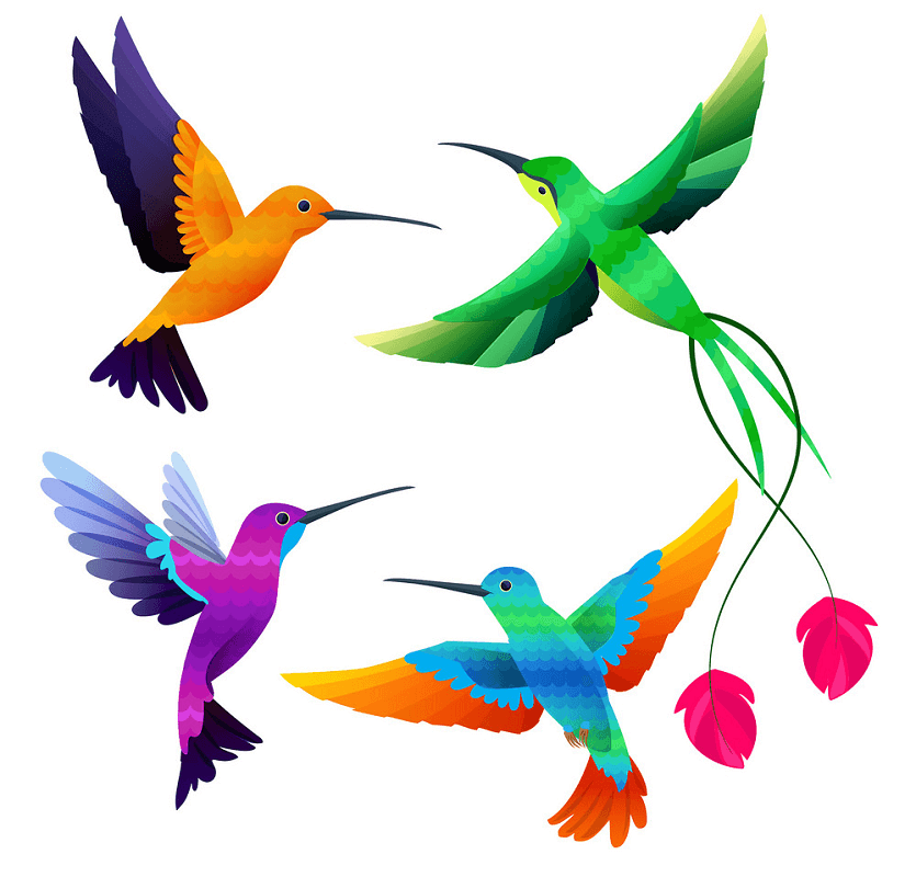 Hummingbirds clipart