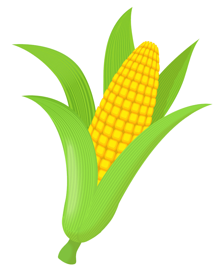 Icon Corn clipart transparent