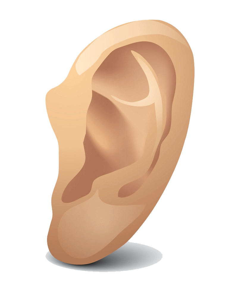 Icon Ear clipart transparent