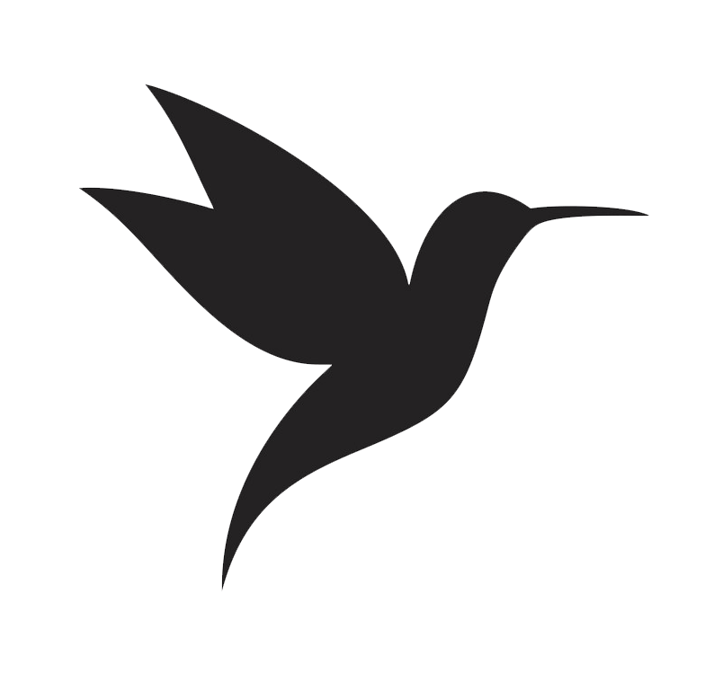 Icon Hummingbird clipart transparent