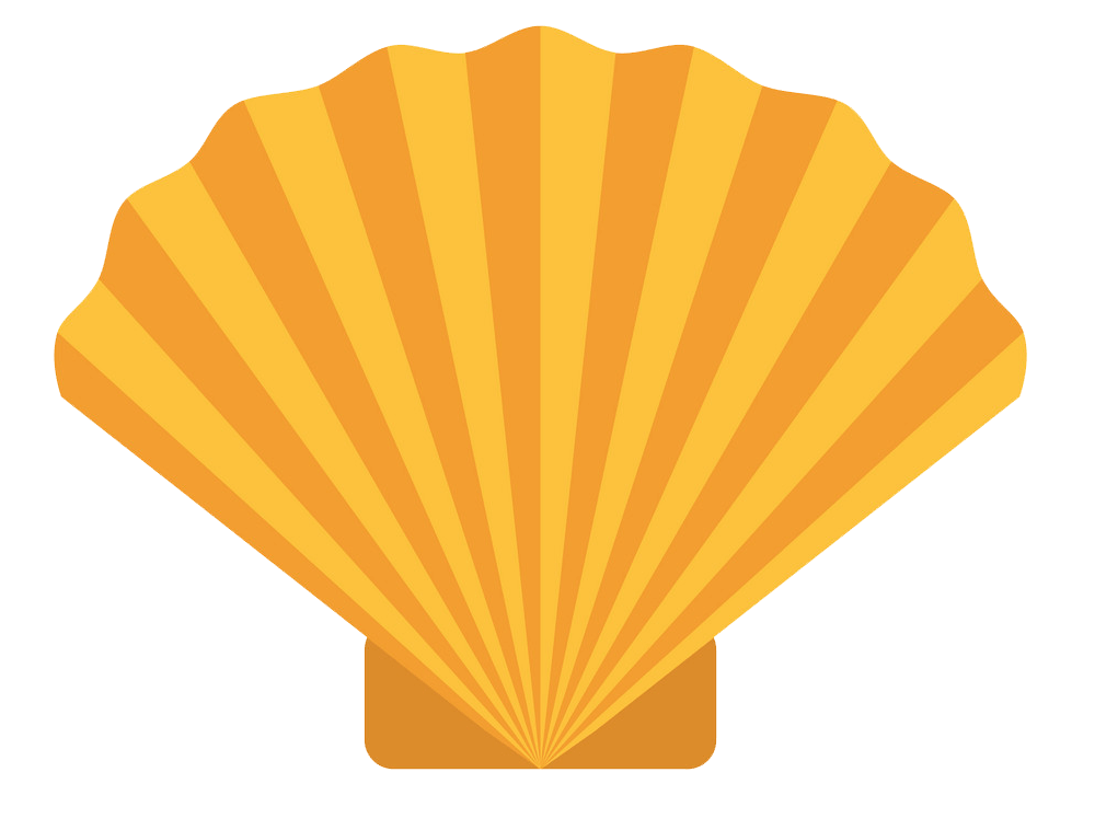 Icon seashell clipart transparent