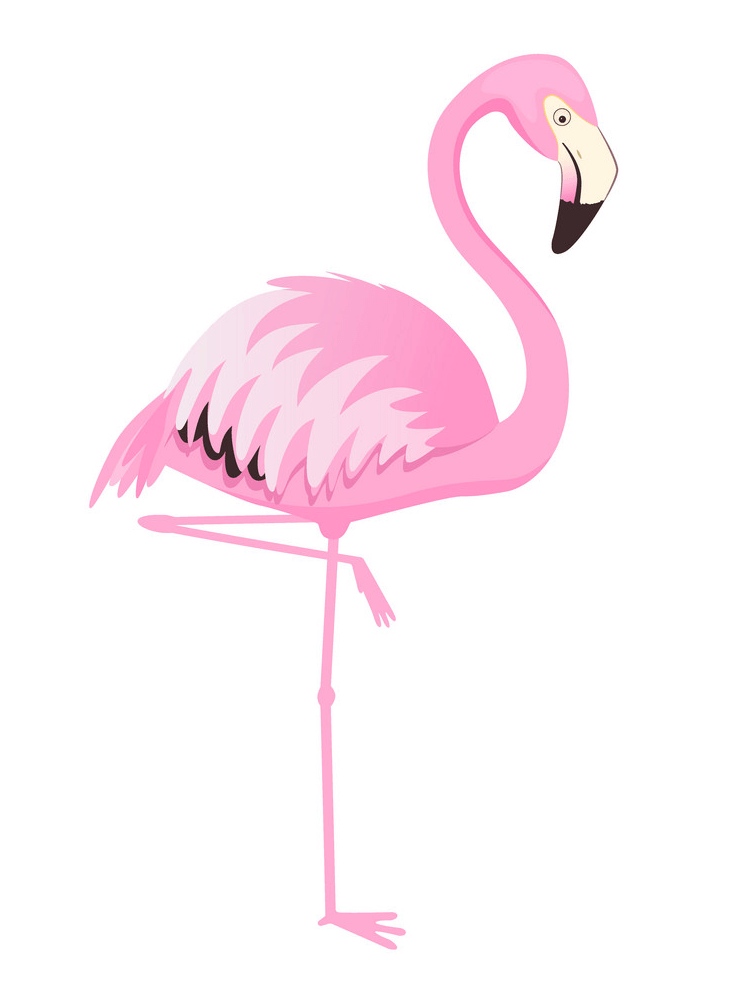 Lovely Flamingo clipart