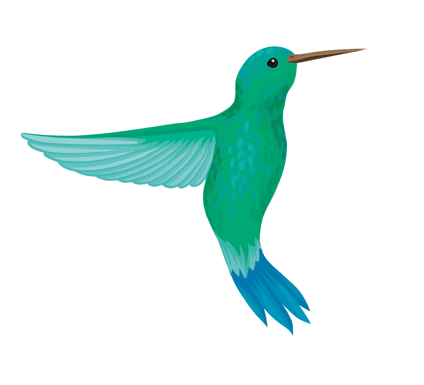 Lovely Hummingbird clipart transparent