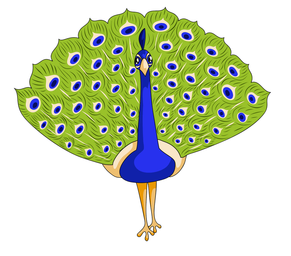 Lovely Peacock clipart transparent
