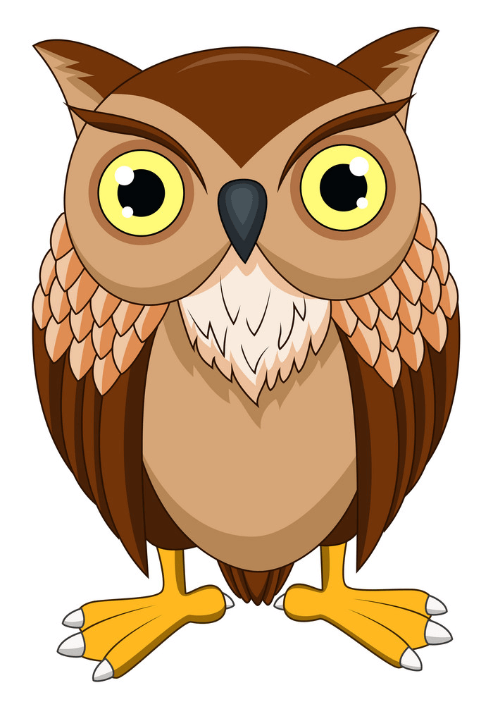 Owl clipart 1