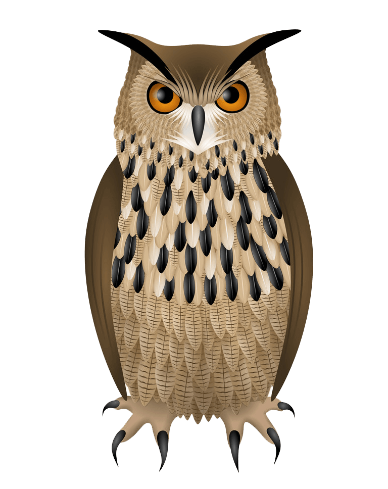 Owl clipart transparent